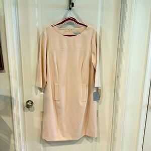 Eliza J Classic Pink Business Dress-16W